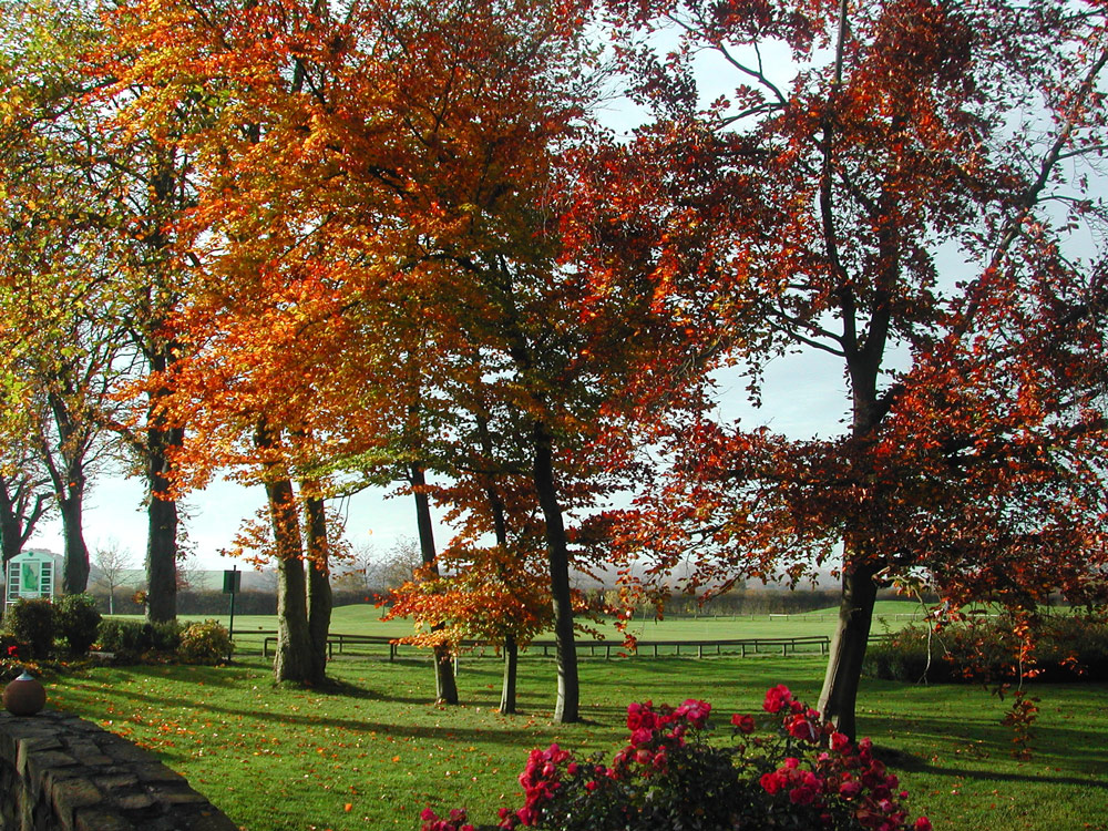 WintergolfRallye September bis März